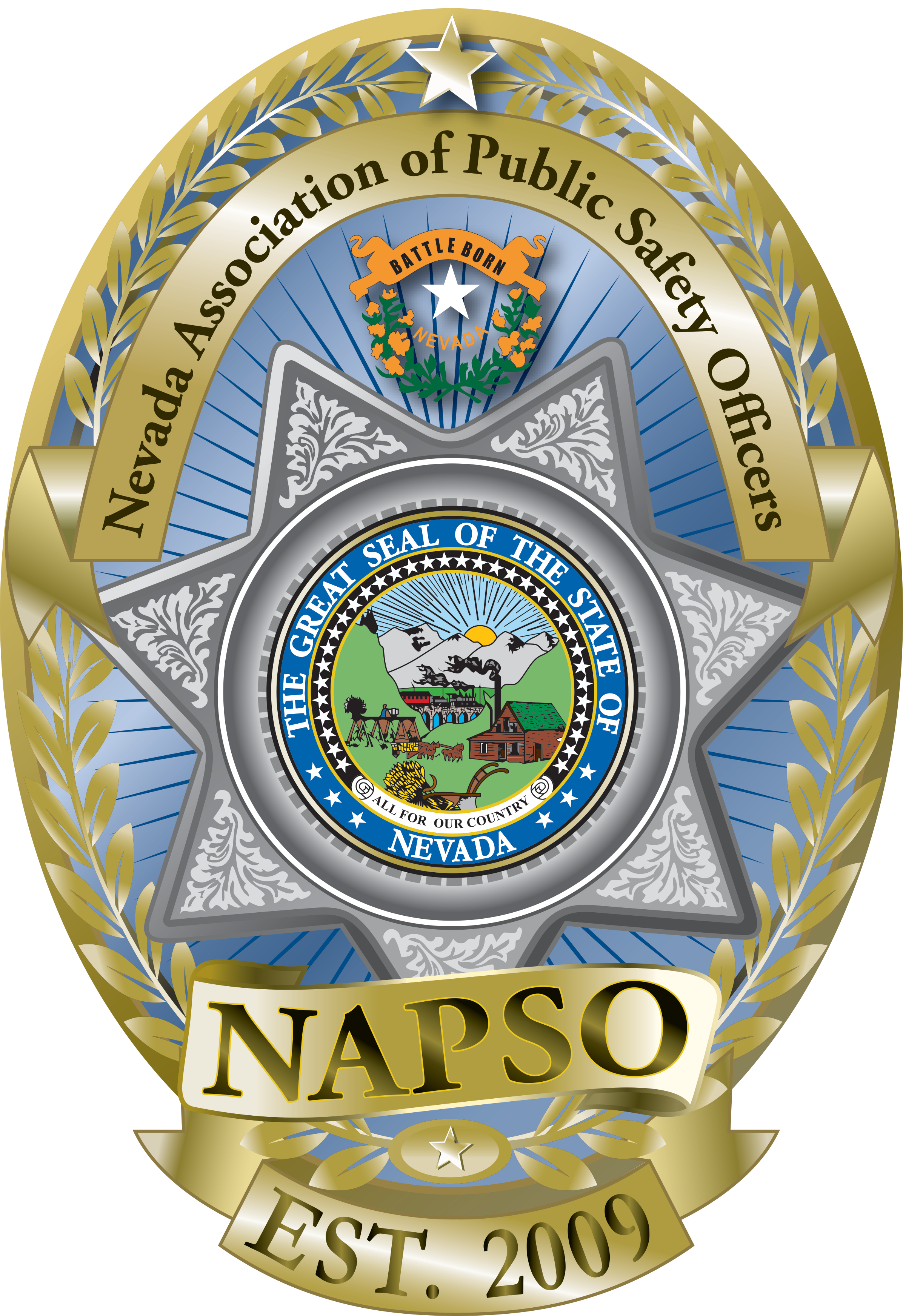 NAPSO logo